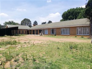 2.3 ha Smallholding in Buyscelia