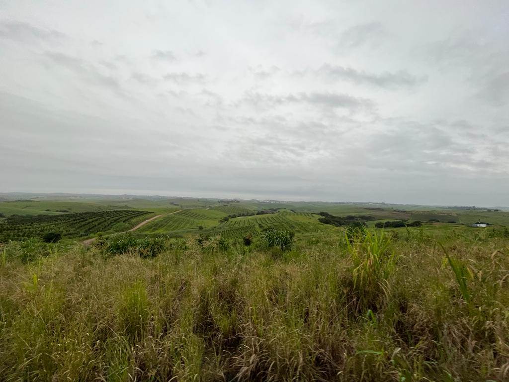 4 ha Land available in Ballito photo number 17