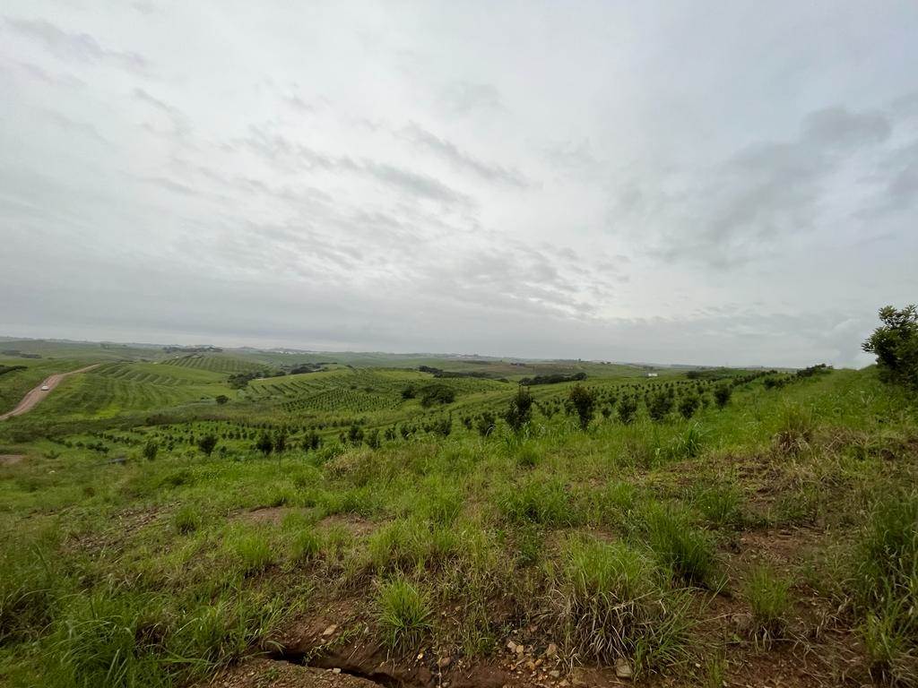 4 ha Land available in Ballito photo number 18