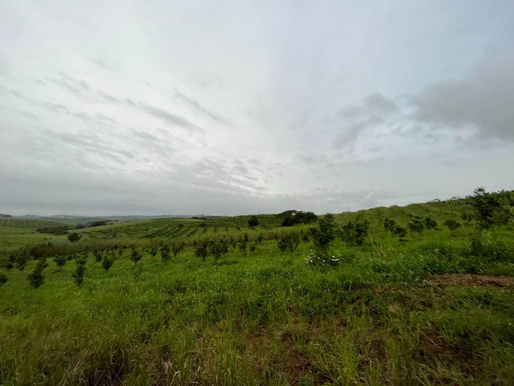 4 ha Land available in Ballito photo number 19