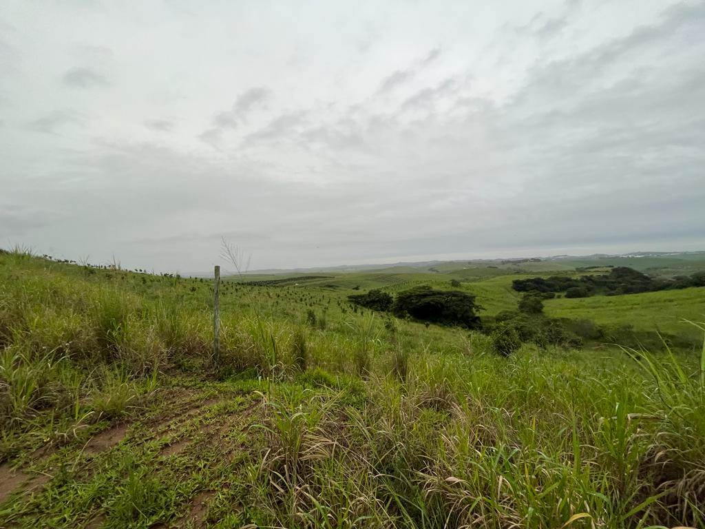4 ha Land available in Ballito photo number 14