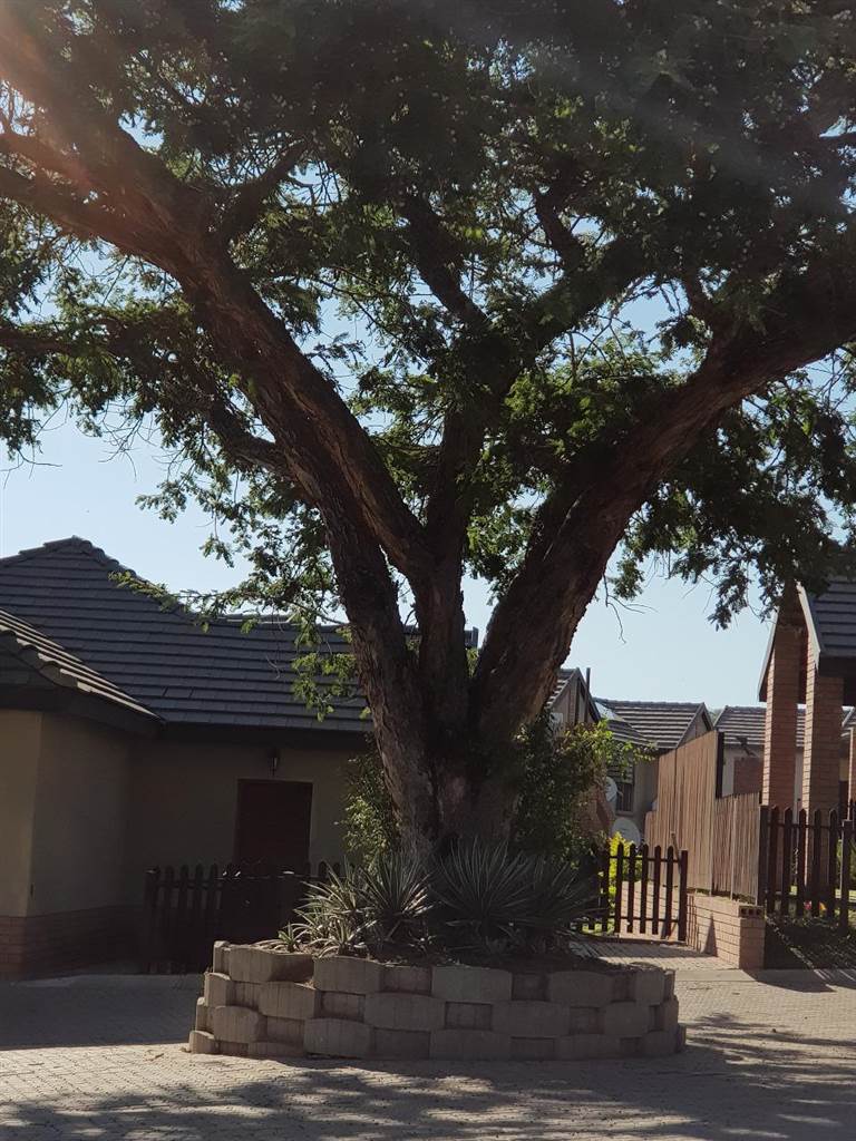3 Bed Townhouse in Elawini Lifestyle Estate photo number 19