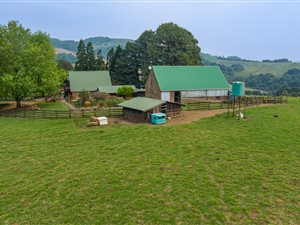 31.9 ha Farm in Balgowan