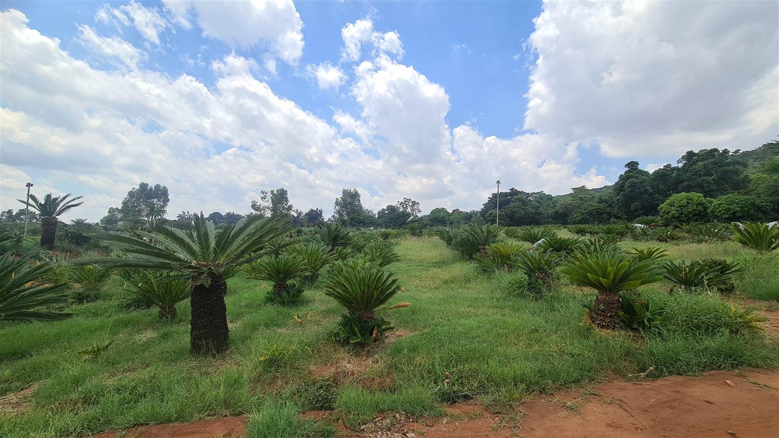 1 ha Land available in Derdepoort photo number 5