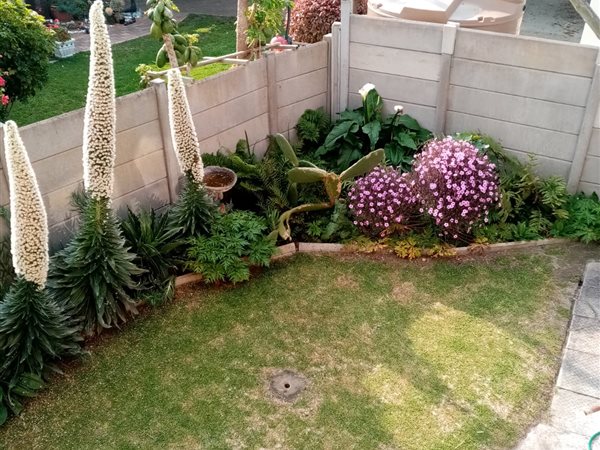 1 Bedroom Garden Cottage 1 Bedroom Garden Cottage