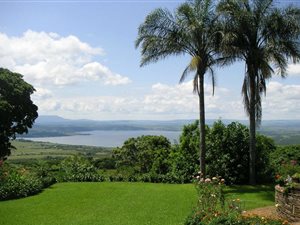 58.2 ha Farm in Greytown