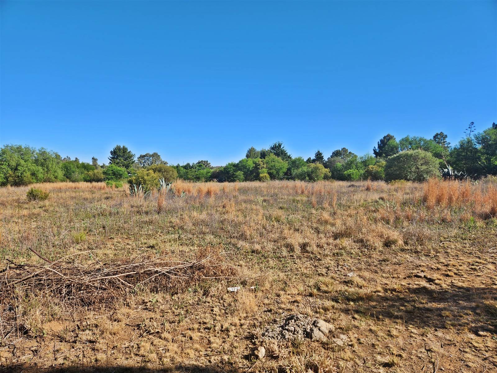 2 ha Land available in Lilyvale photo number 3