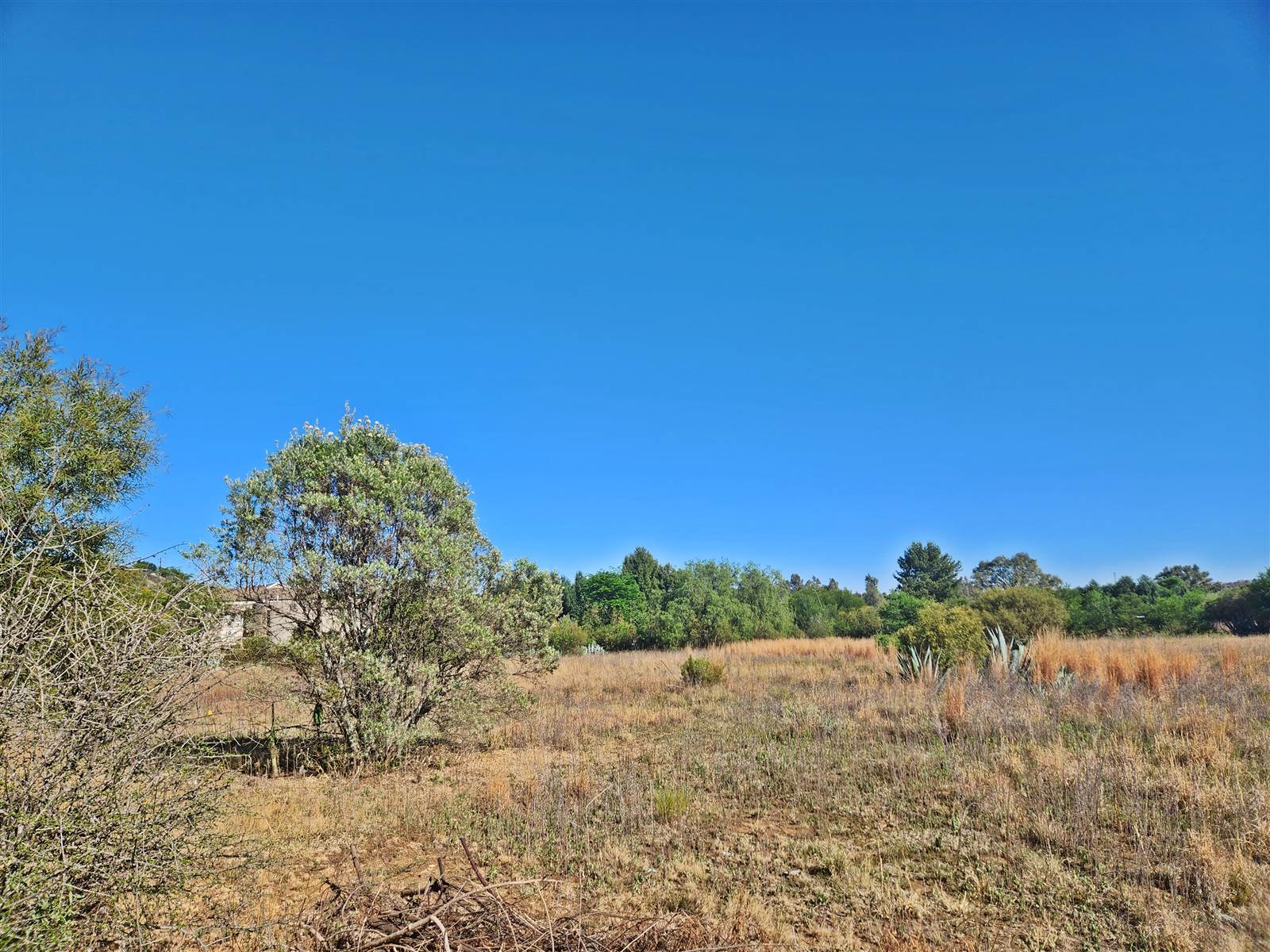 2 ha Land available in Lilyvale photo number 5