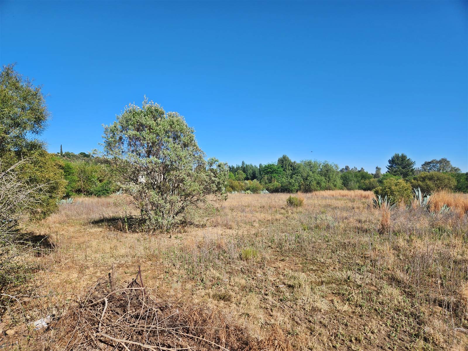 2 ha Land available in Lilyvale photo number 4