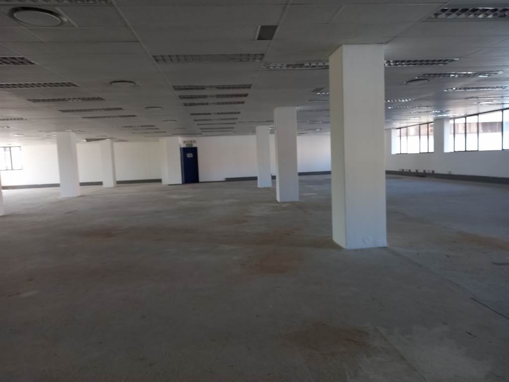 732  m² Office Space in Arcadia photo number 6