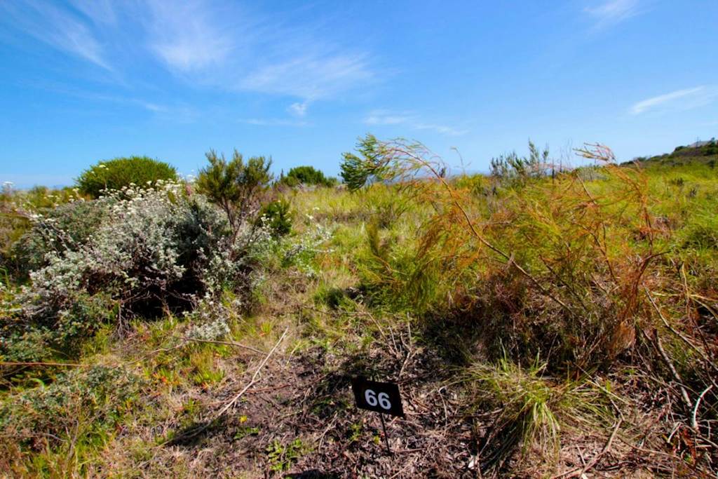 1133 m² Land available in Fernwood photo number 3