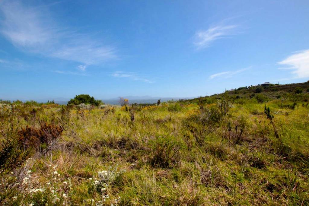 1133 m² Land available in Fernwood photo number 6