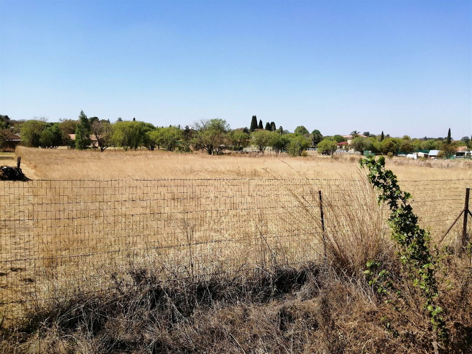 1 ha Land available in Randjesfontein photo number 6