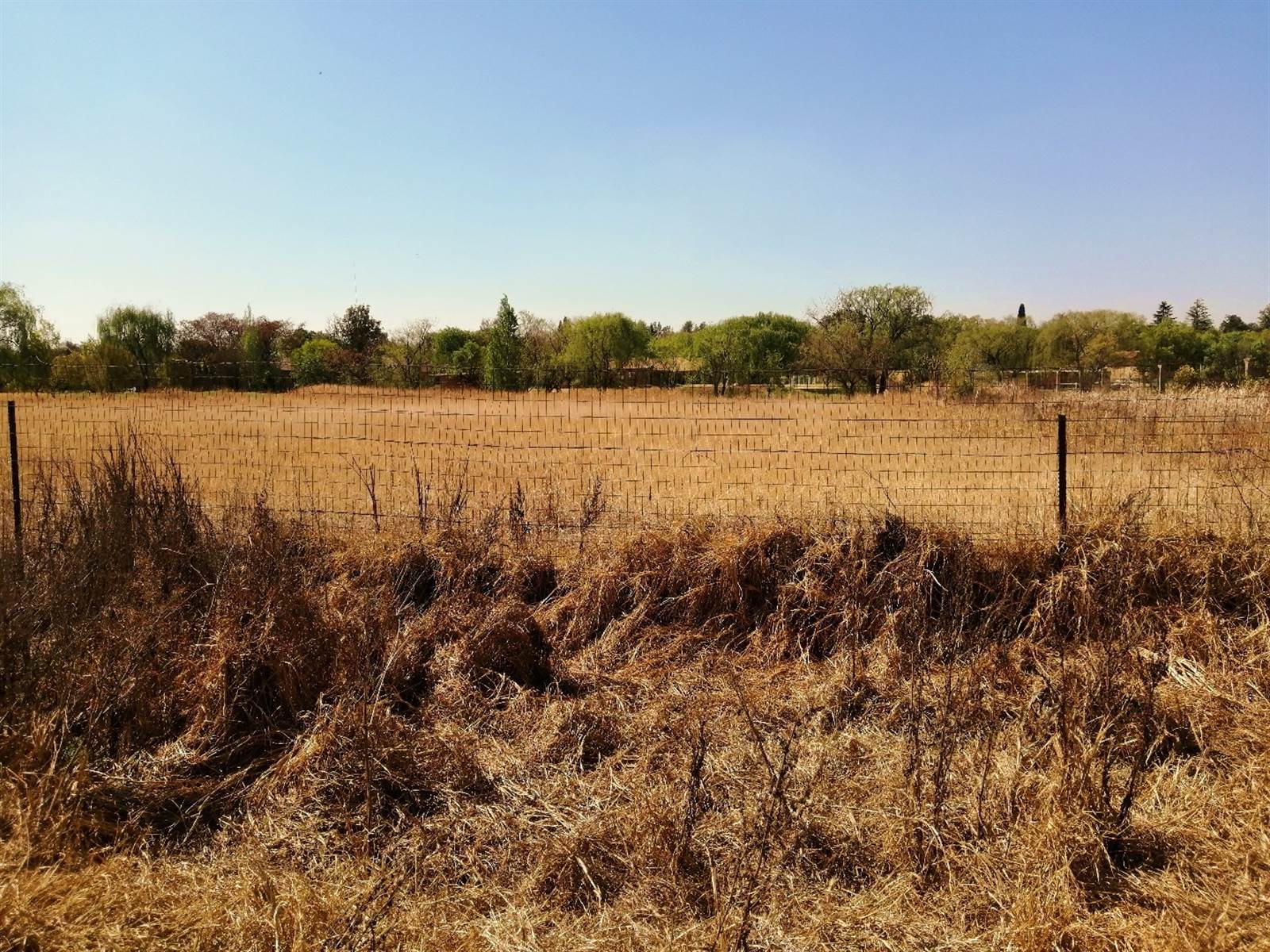 1 ha Land available in Randjesfontein photo number 3