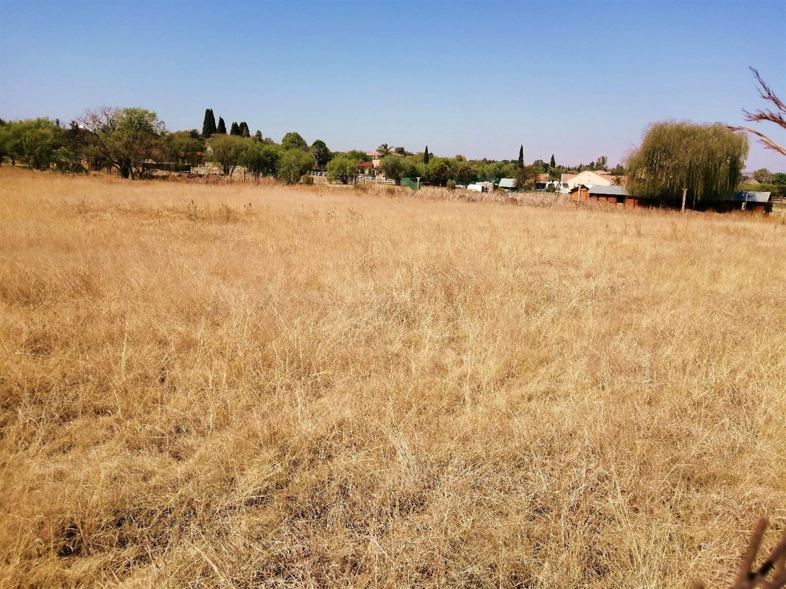 1 ha Land available in Randjesfontein photo number 10