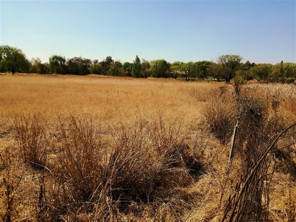 1 ha Land available in Randjesfontein