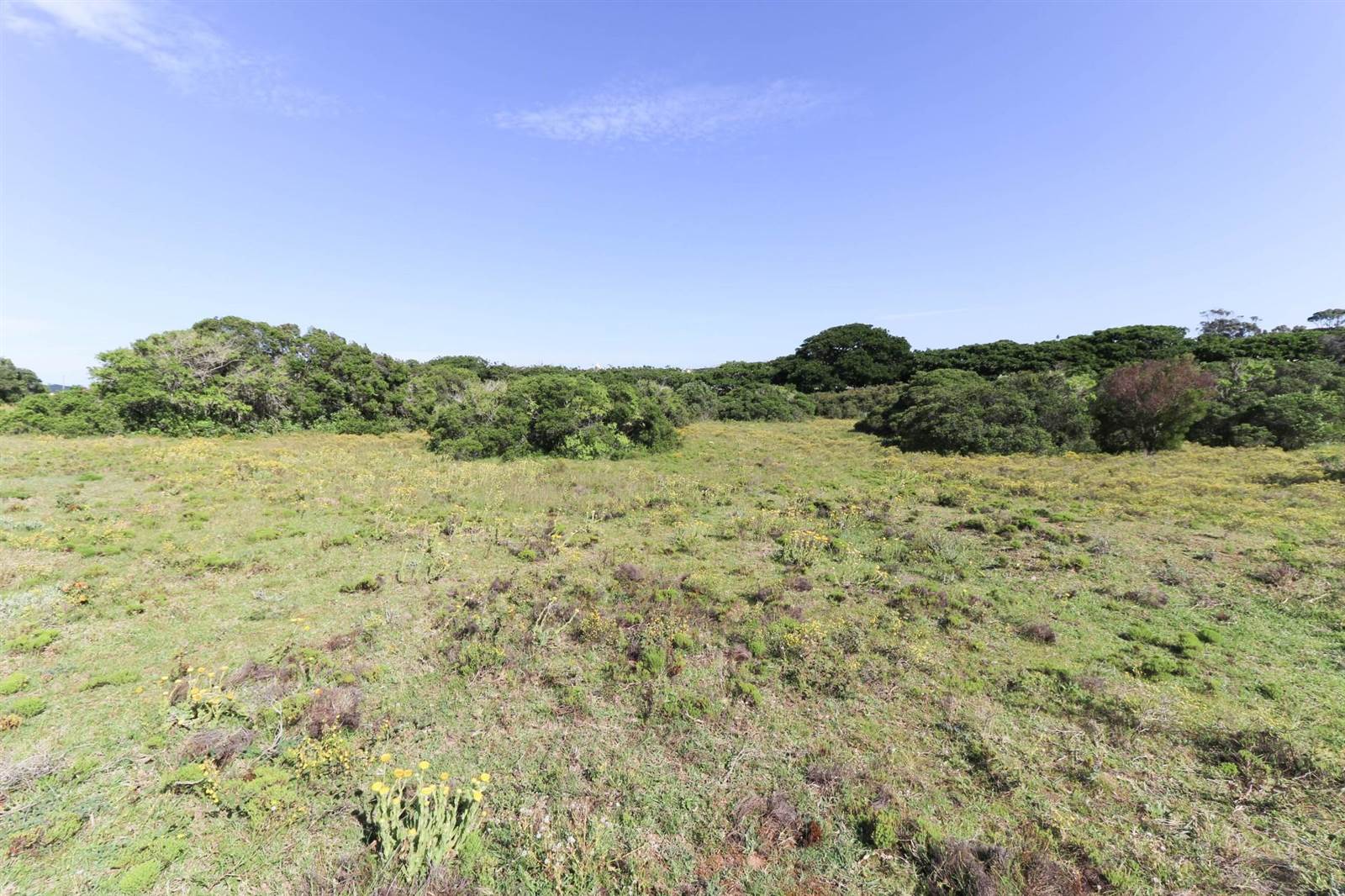 1.7 ha Land available in Boesmansriviermond photo number 2