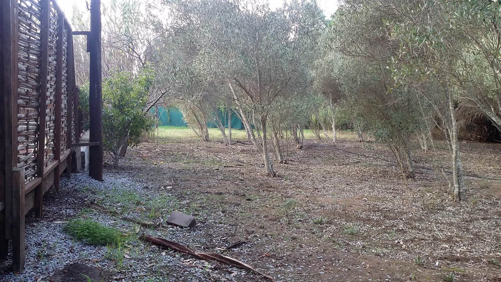 2950 m² Land available in Darling photo number 3