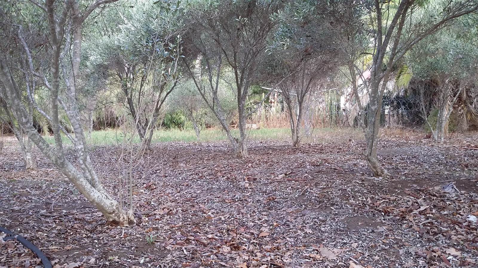 2950 m² Land available in Darling photo number 5