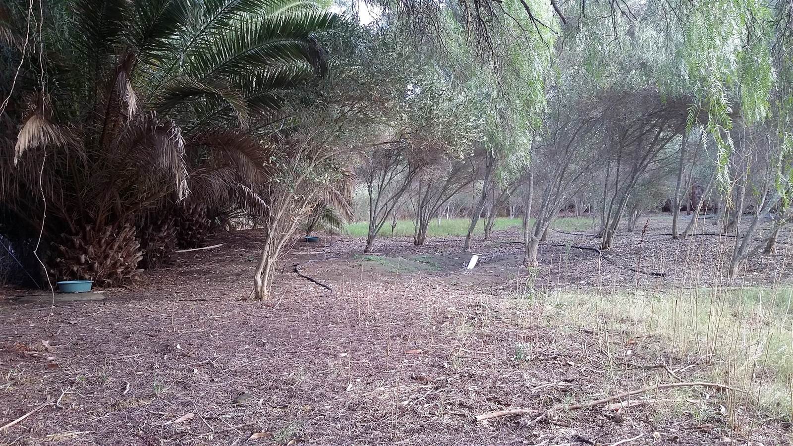 2950 m² Land available in Darling photo number 6