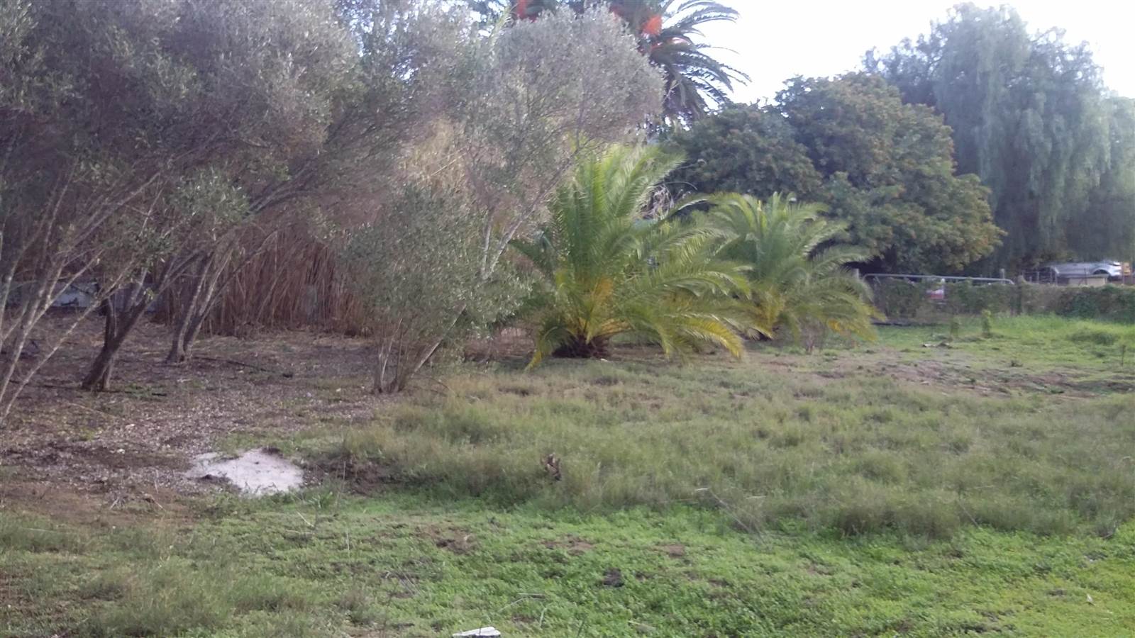 2950 m² Land available in Darling photo number 2