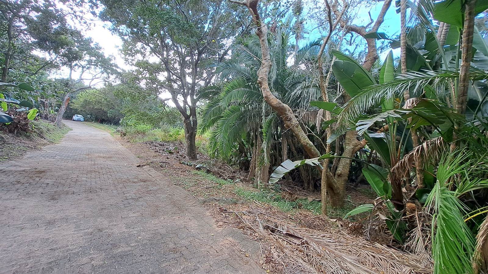 884 m² Land available in Woodgrange photo number 9