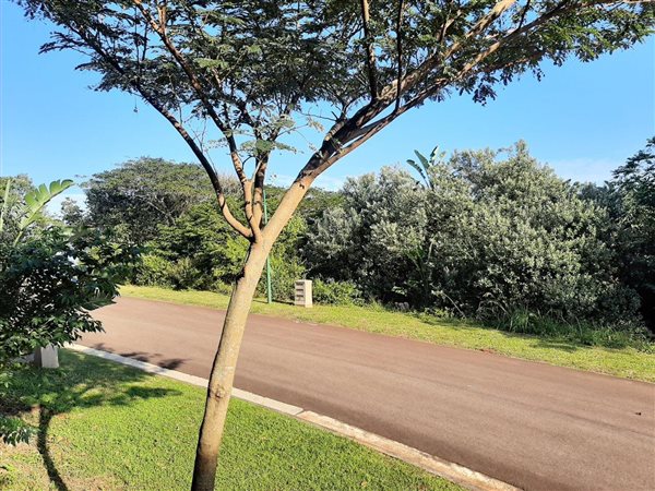 1180 m² Land available in Kelso