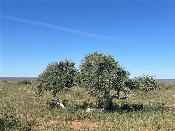 4 730 ha Farm 4 730 ha Farm