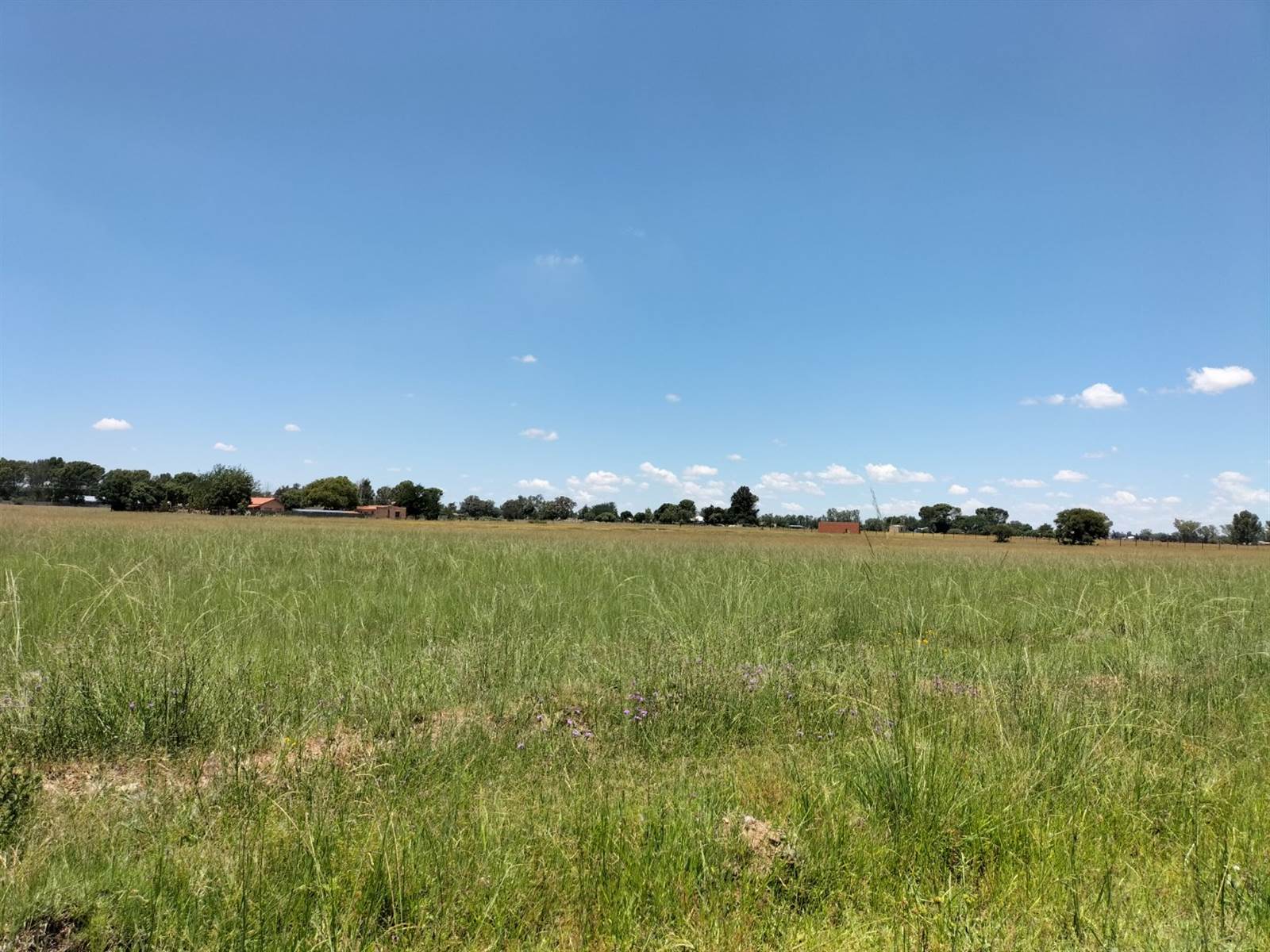 1 ha Land available in Bloemfontein Farms photo number 4