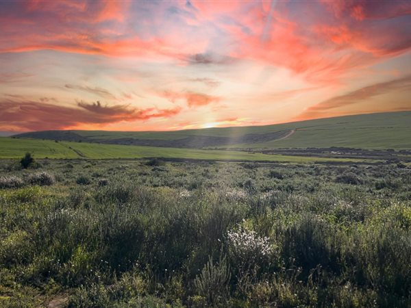 731 m² Land 731 m² Land