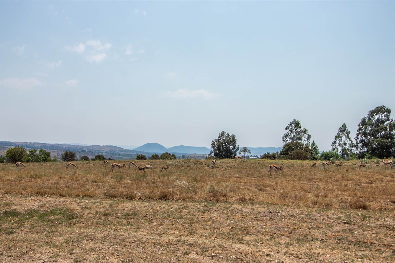 3339 m² Land available in Blair Atholl Estate photo number 4