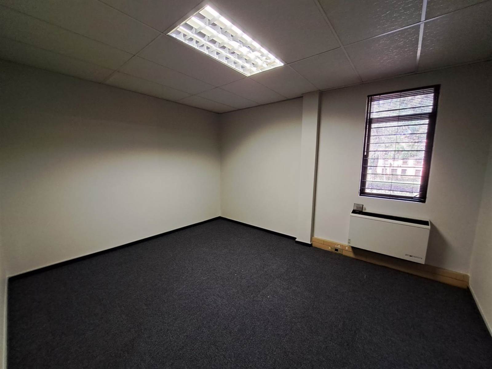 204  m² Office Space in Lyttelton photo number 2