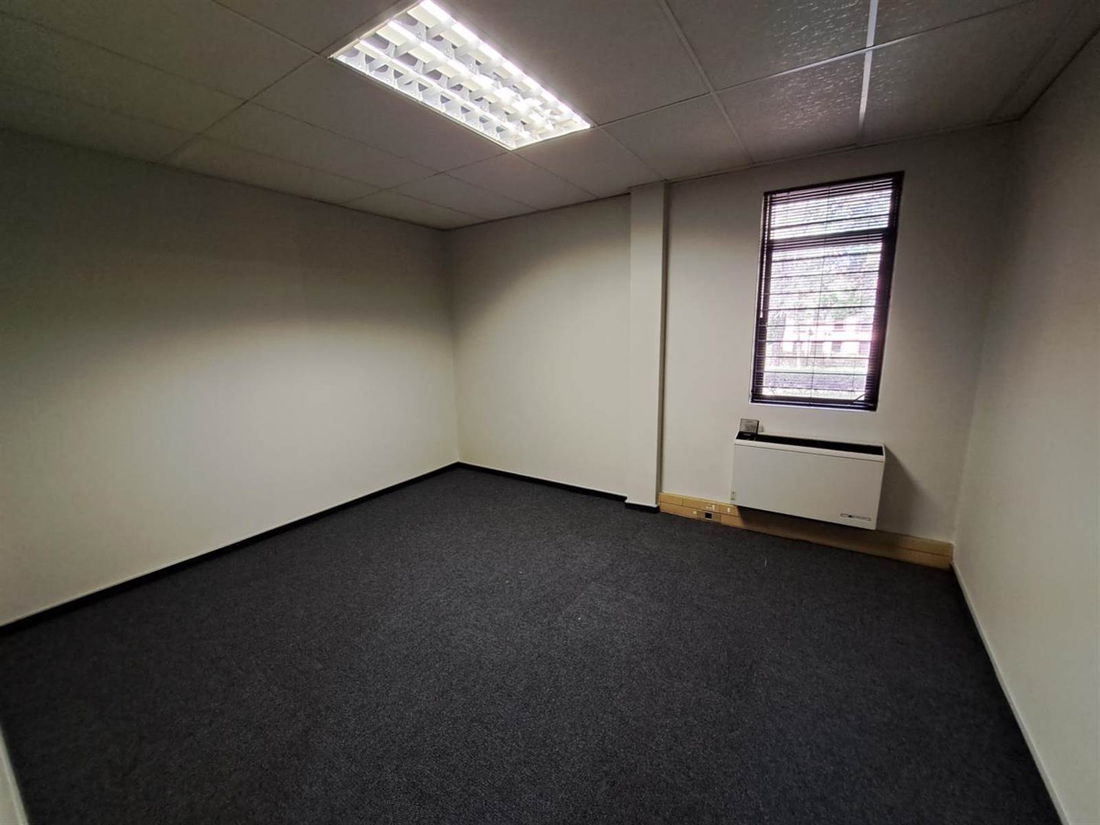 204  m² Office Space in Lyttelton photo number 11