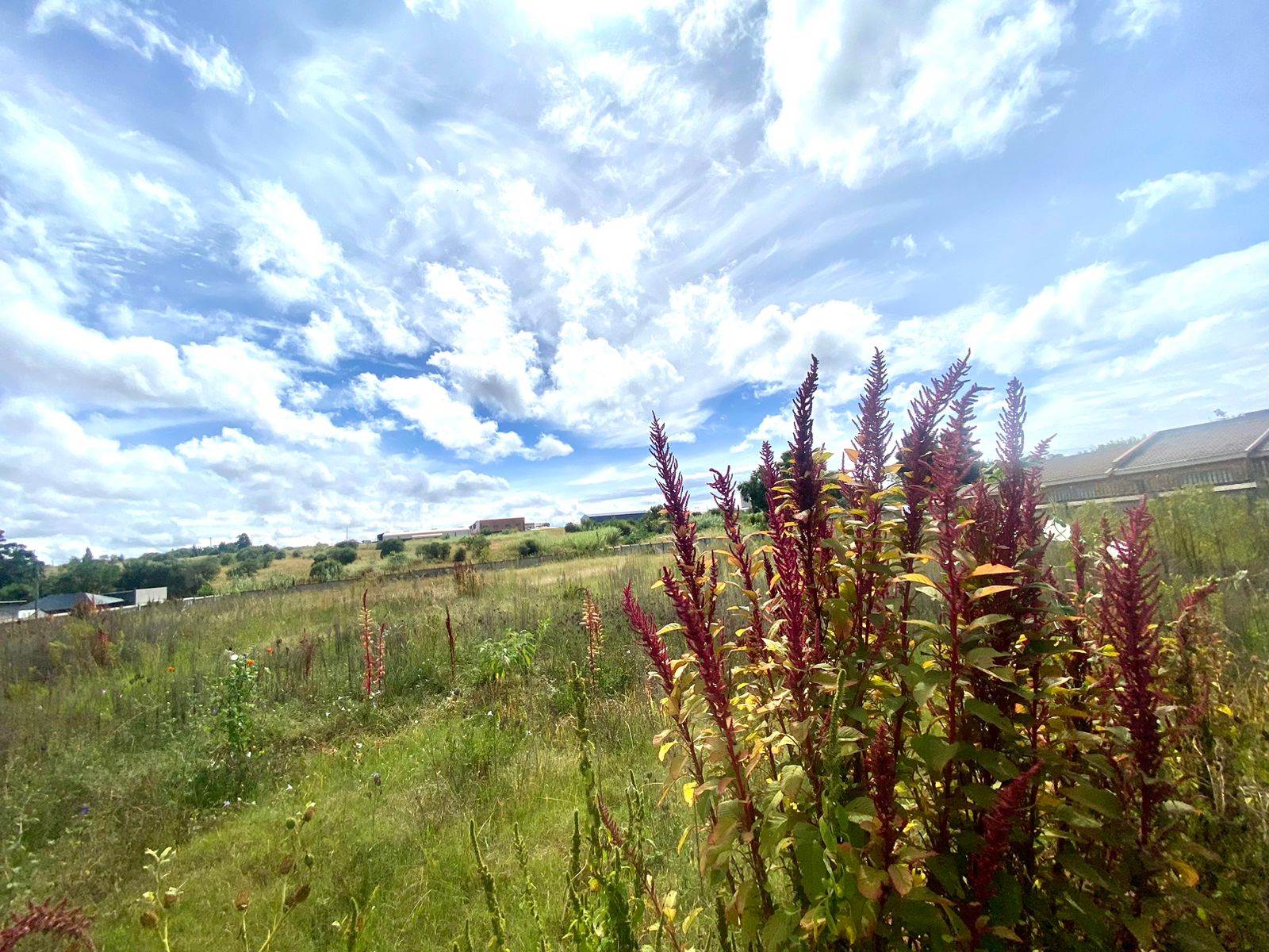 5424 m² Land available in Lydenburg photo number 4