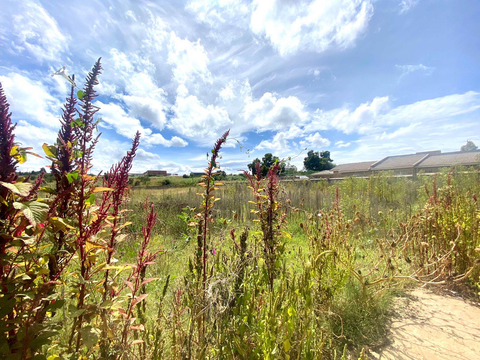 5424 m² Land available in Lydenburg photo number 8