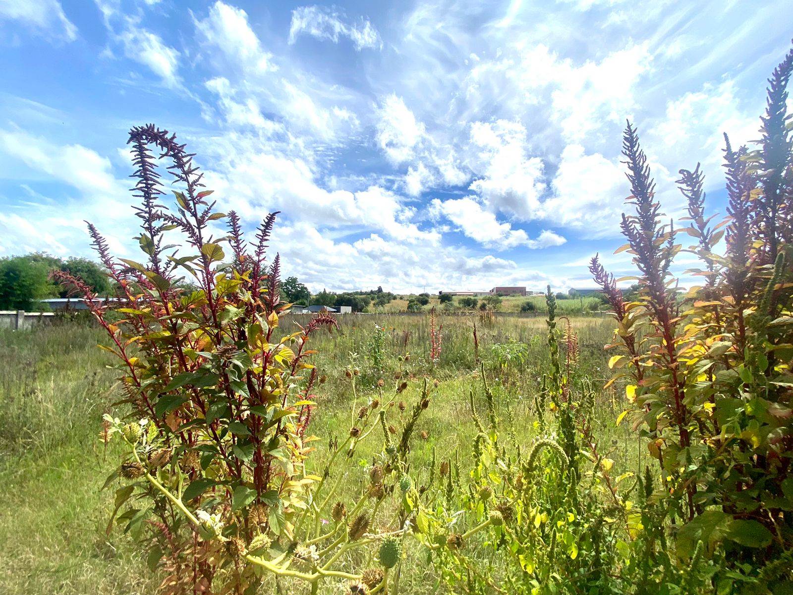 5424 m² Land available in Lydenburg photo number 5