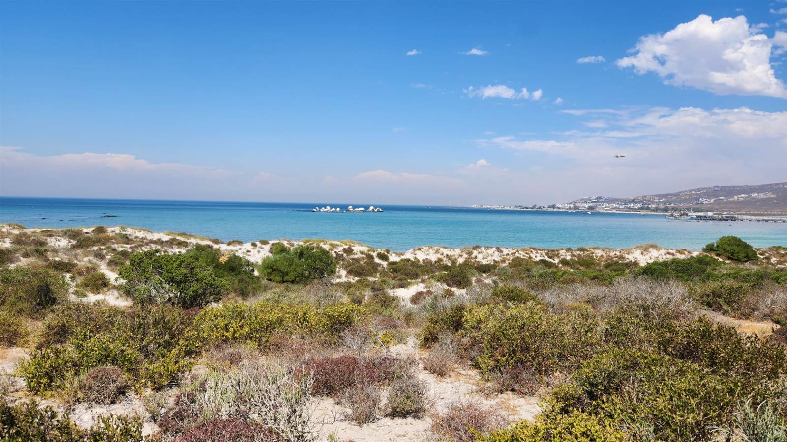 462 m² Land available in Shelley Point photo number 14