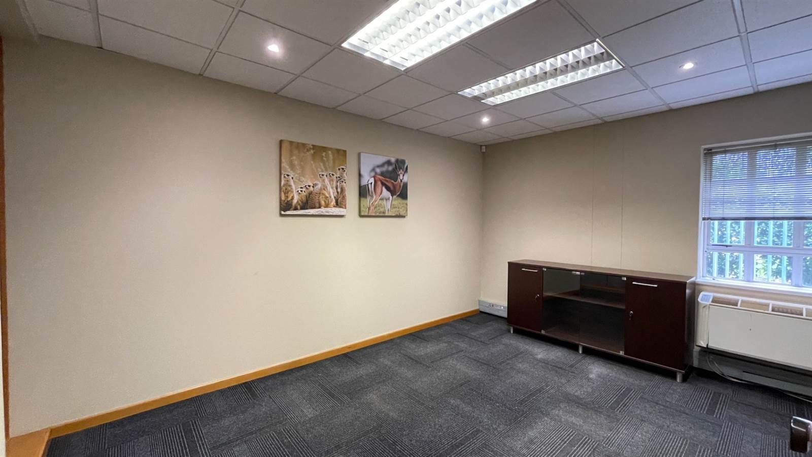691  m² Office Space in Sandown photo number 16