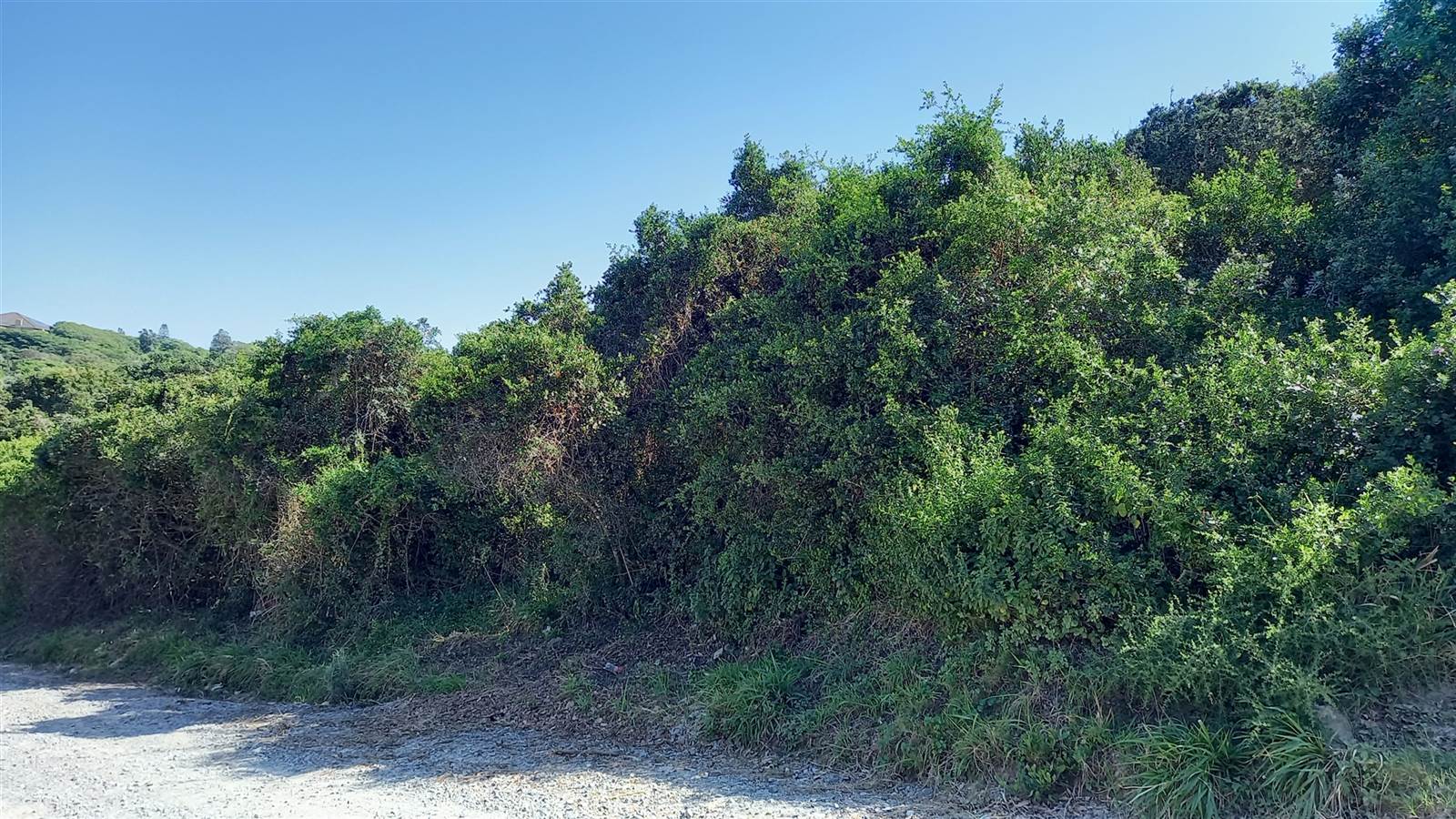 1117 m² Land available in West Bank photo number 5