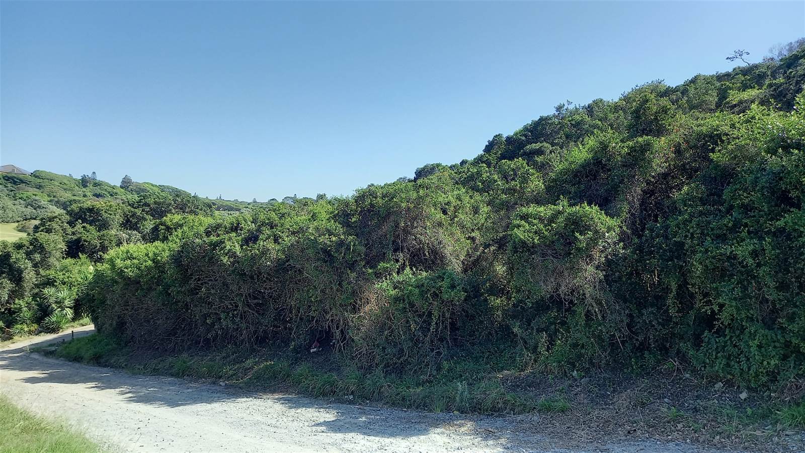 1117 m² Land available in West Bank photo number 4
