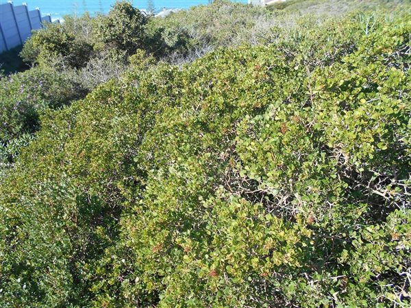 897 m² Land available in Boggomsbaai