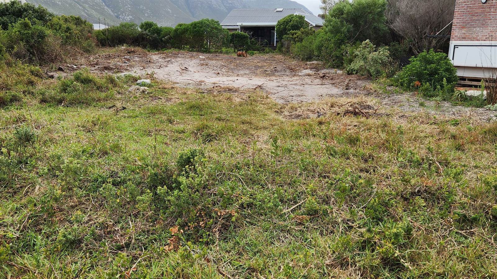 906 m² Land available in Bettys Bay photo number 6