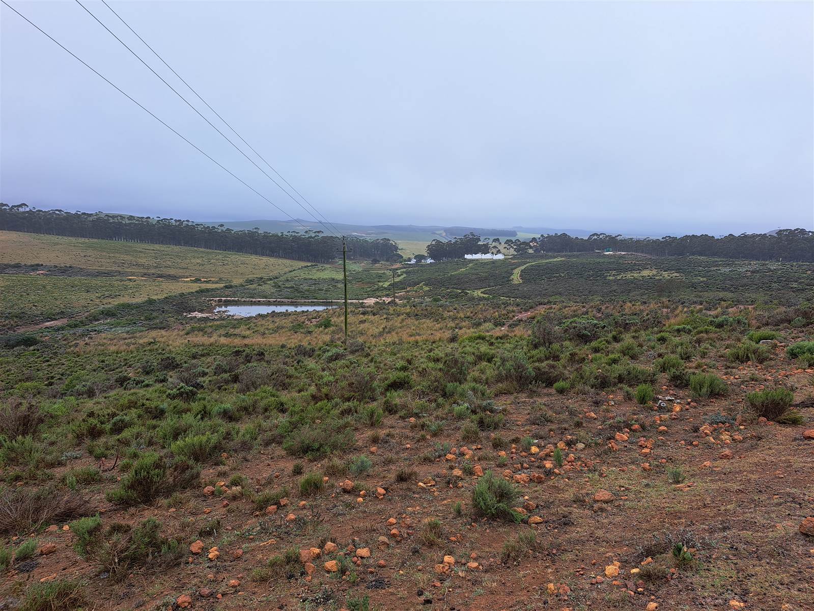 395 ha Farm in Riversdale photo number 15