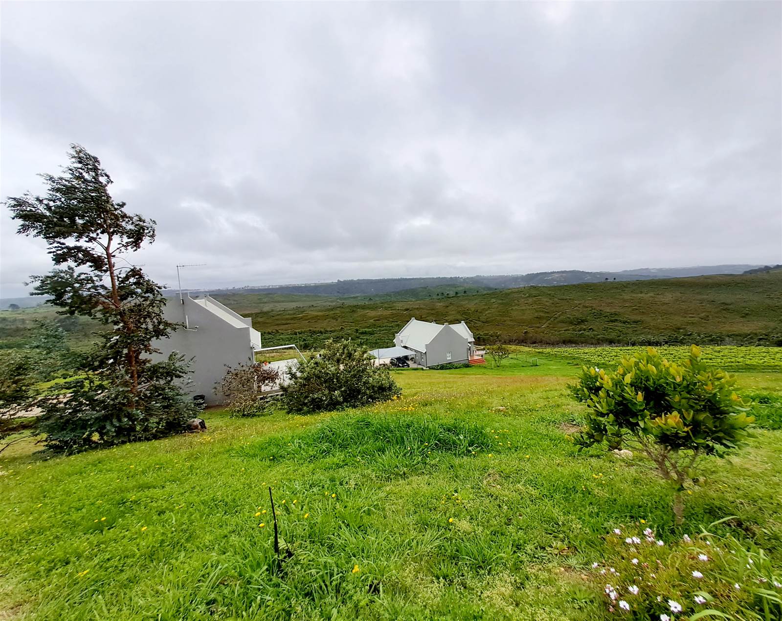 5.3 ha Smallholding in Robberg photo number 19