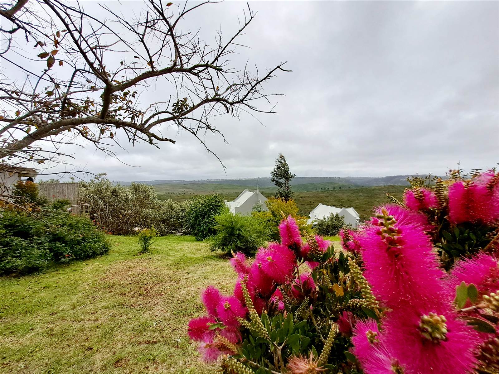 5.3 ha Smallholding in Robberg photo number 16