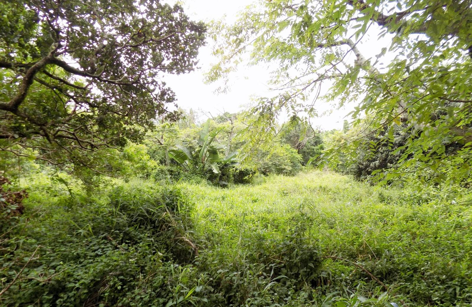 1337 m² Land available in Pennington photo number 7