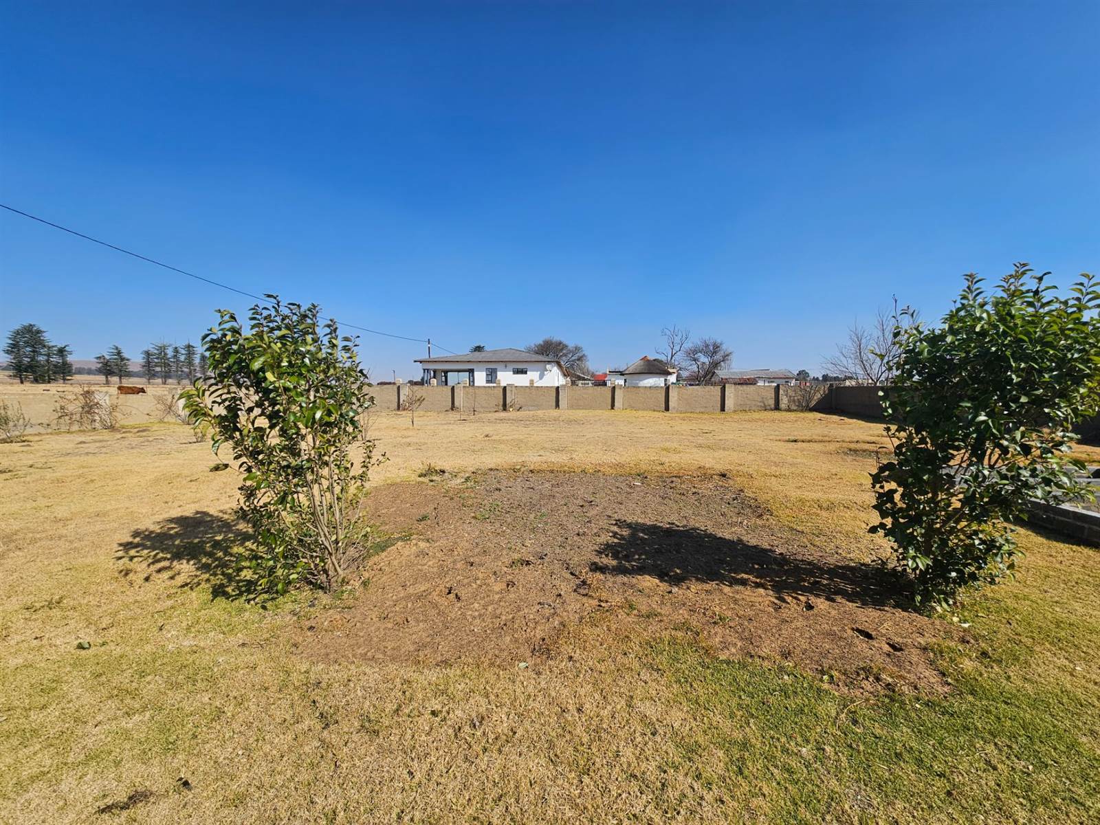 989 m² Land available in Memel photo number 8