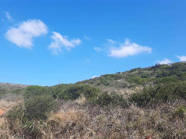 7832 m² Land available in Diaz Beach