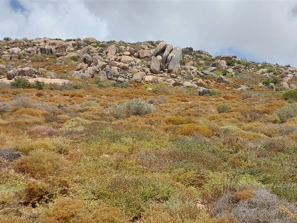 502 m² Land available in St Helena Views