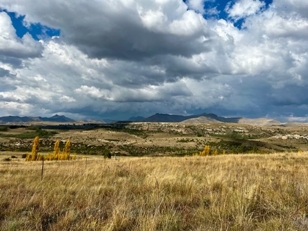 9989 m² Land available in Clarens